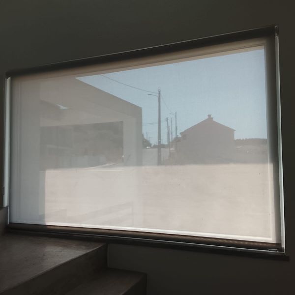 Screen